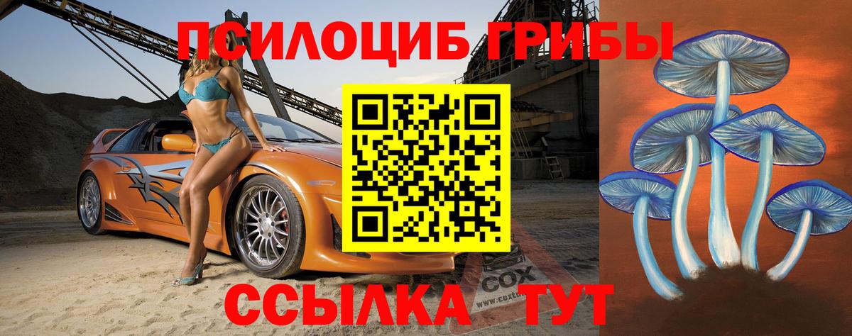 Псилоцибиновые грибы GOLDEN TEACHER  Галлюциногенные грибы Psilocybine cubensis  Добрянка  Вход с VPN 